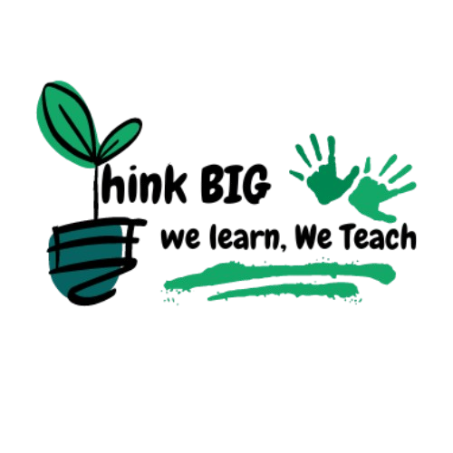 Think Big Organization Logo